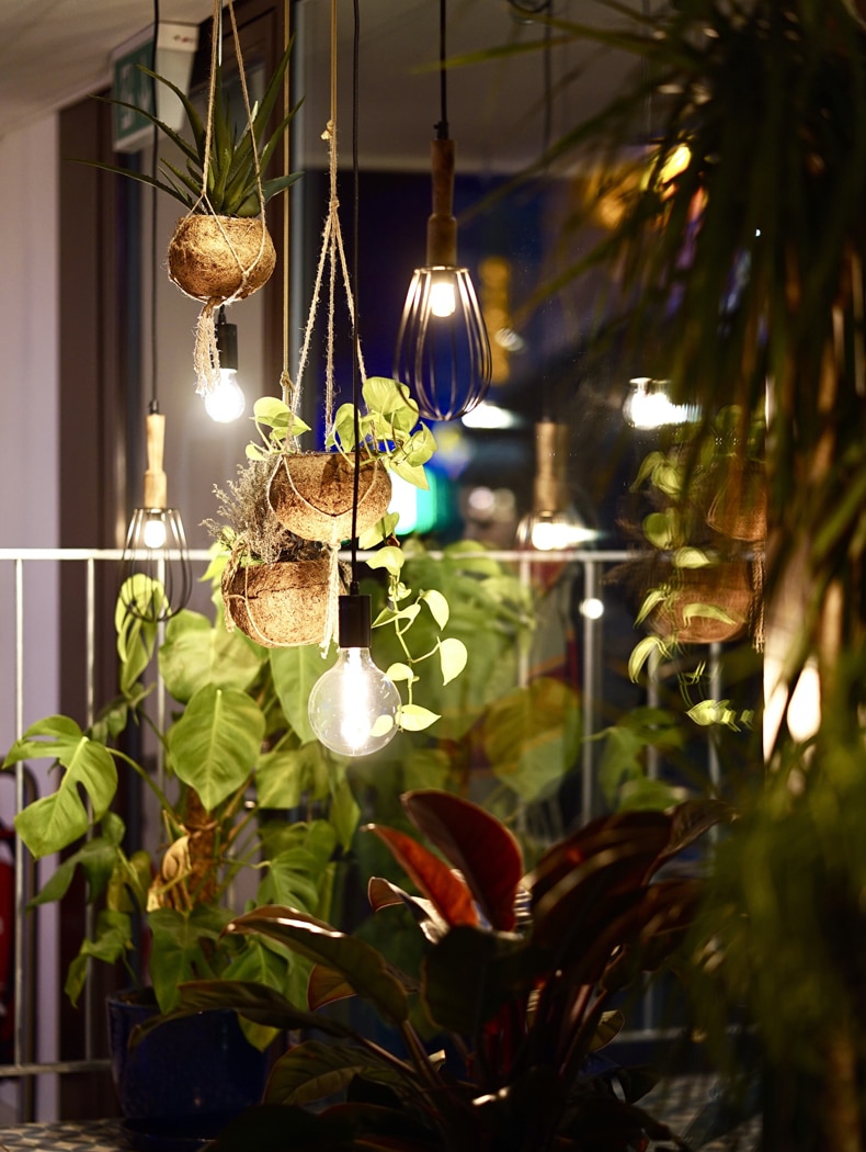 Hang plants from a light fixture idea