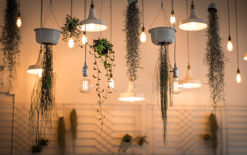 Use S hooks to hang plants from a light fixture