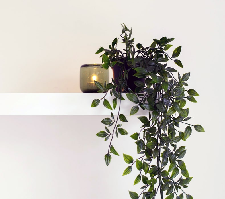 Coat Stands for hanging plants