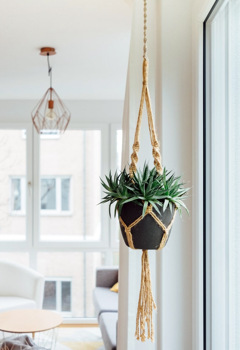 Choose your hanging plants wisely