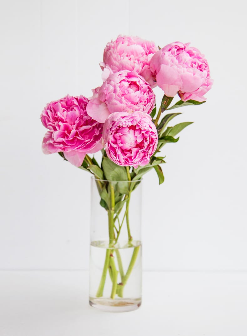 how to take care of peonies in a vase