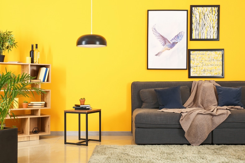 colors that go well with black, yellow