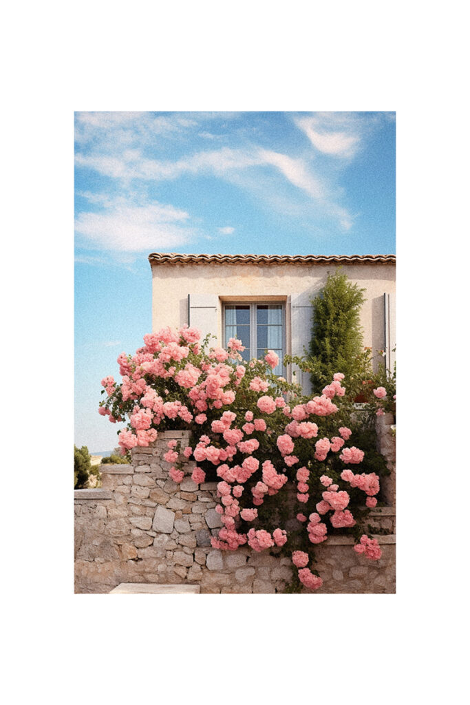 Pink roses growing on a stone wall in front of a French Country Cottage house.