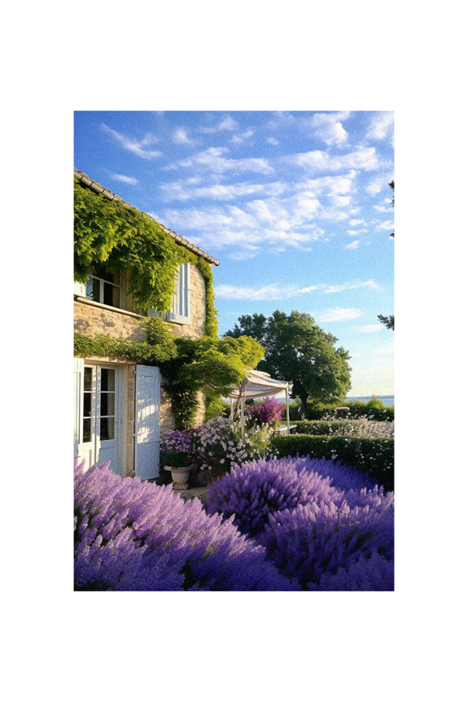 French Country Cottage with lavender flowers in front of it.