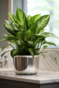 Air-Purifying Plants: 10 Top Picks to Enhance Bathroom Air Quality ...