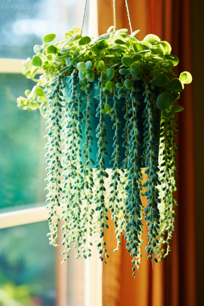 A ceiling hanging plant brings greenery and life to a window sill, making it an ideal choice for those looking to incorporate plants into their space.