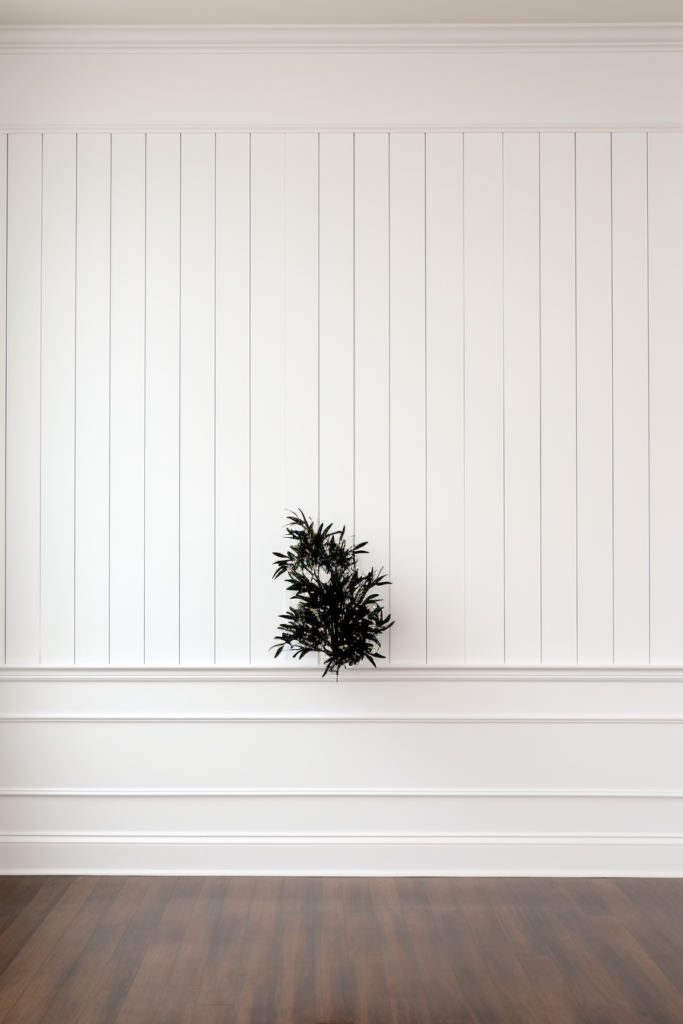 An empty room with white walls serving as a clean and blank canvas, showcasing a lone plant on the floor, acting as an anchor and focal point.