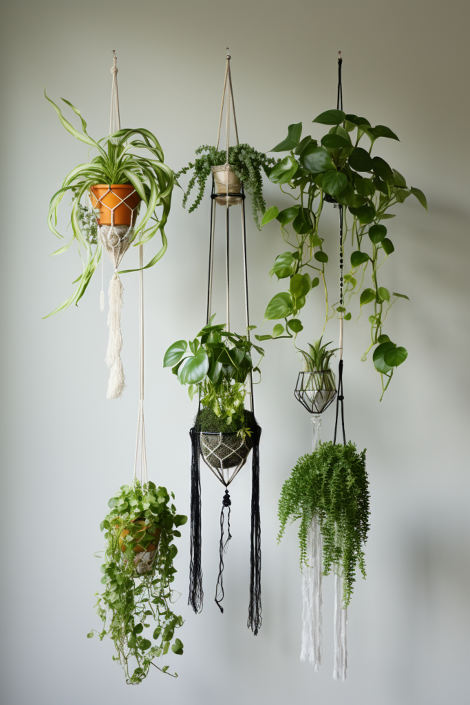 An enhancing display of hanging plants on a wall, adding a touch of interior design flair.