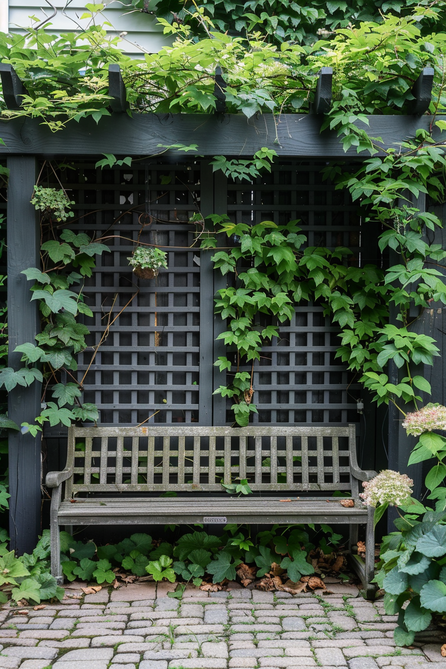 An old wooden bench under a pergola with climbing green vines, set against a latticed backdrop in a tranquil garden setting.