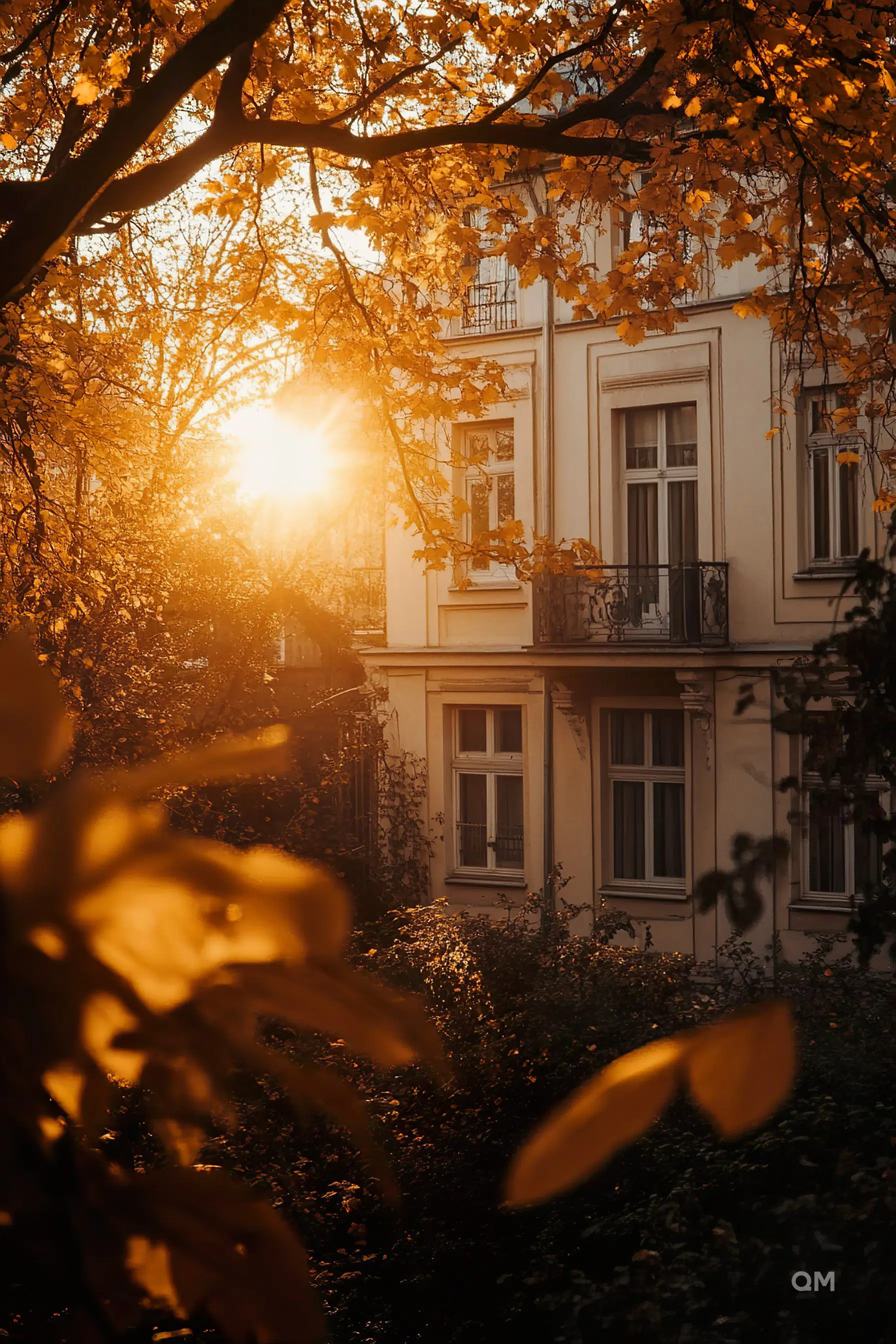 ALT: Golden autumn leaves frame a classic building basked in the warm glow of the setting sun peeking through the foliage.