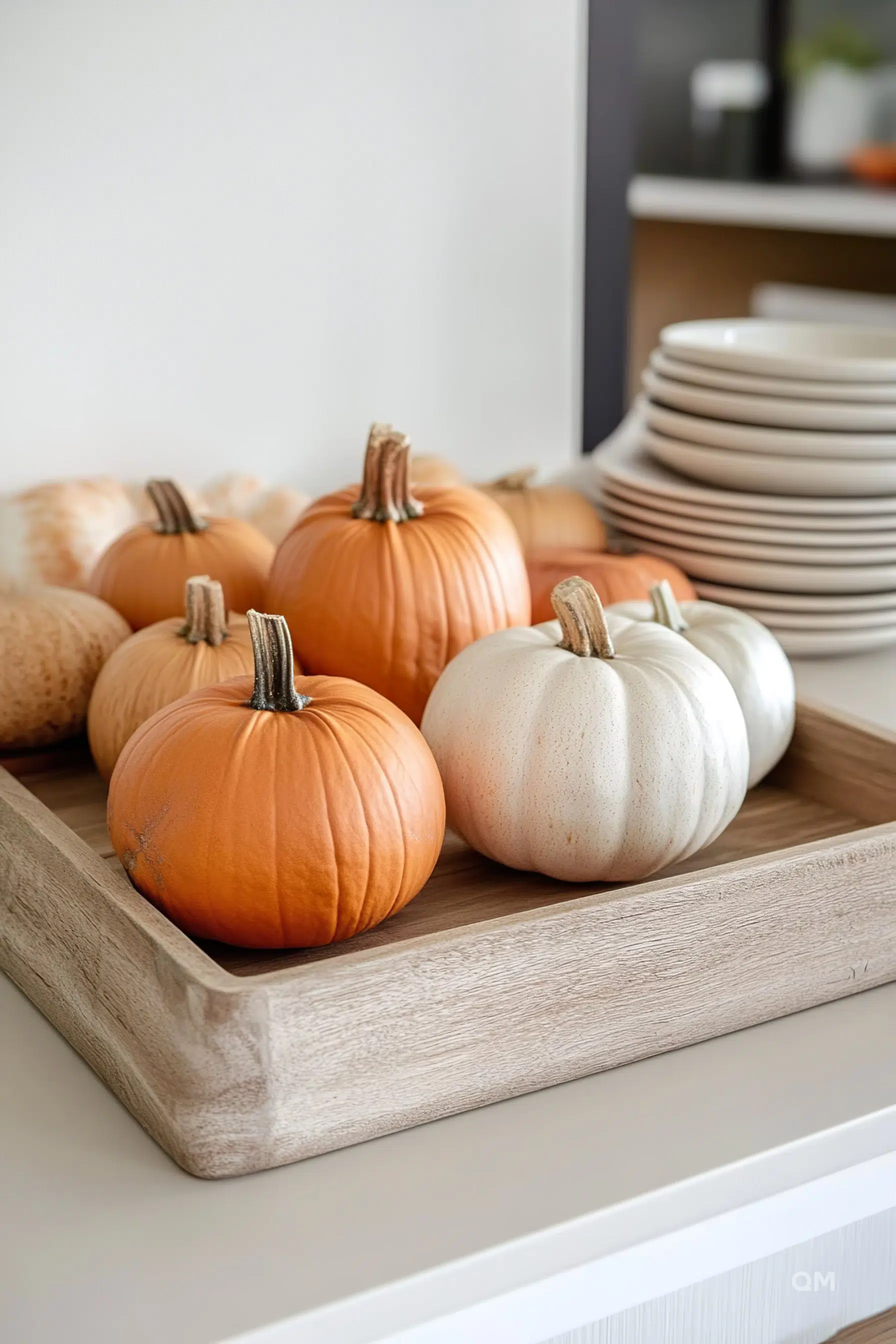 A wooden tray with a selection of orange and white decorative pumpkins on a kitchen counter next to a stack of white plates.