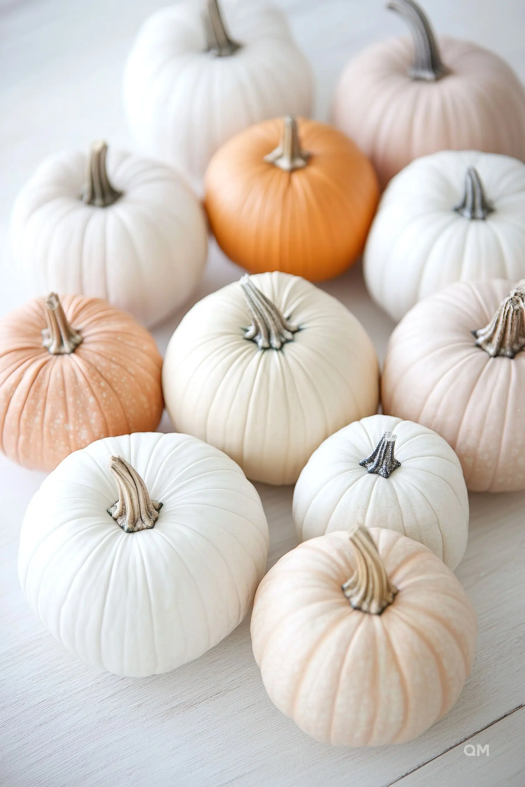 ALT text: A variety of pumpkins in shades of orange, white, and cream arranged on a light wooden surface for a fall-themed display.
