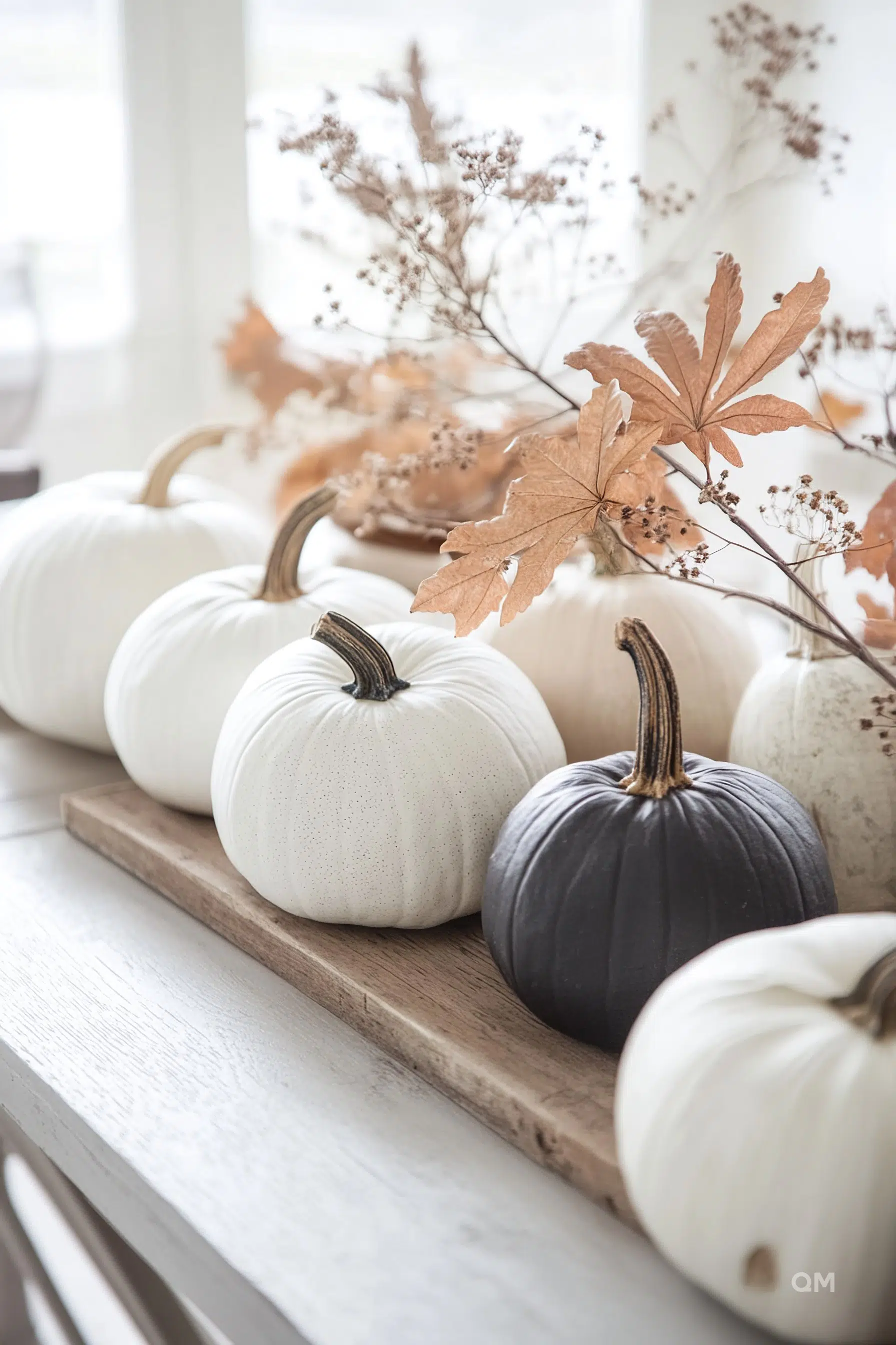 A row of decorative white and black pumpkins on a wooden tray with dried autumn leaves, creating a cozy seasonal display.
