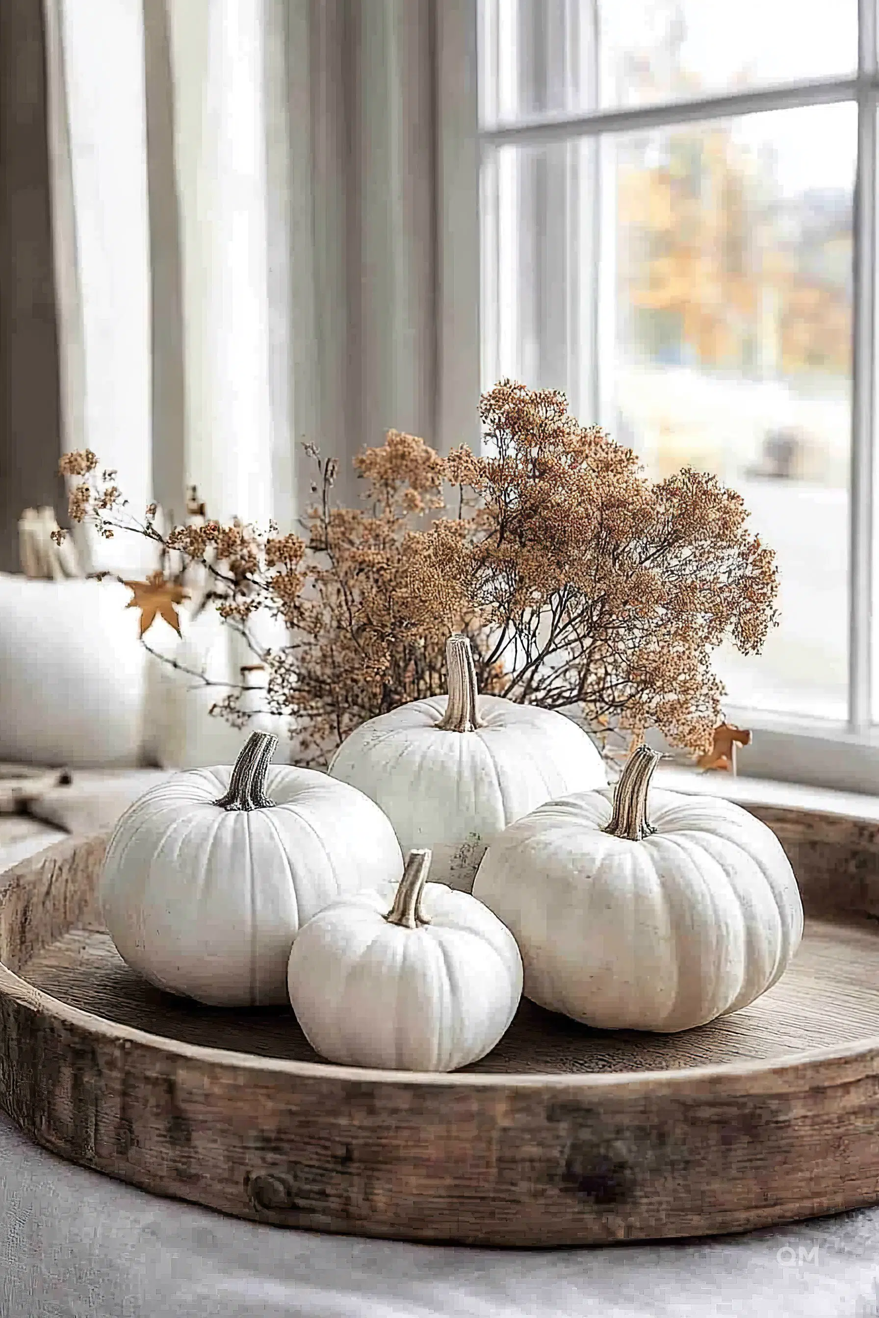 ALT: Four white pumpkins arranged on a rustic wooden tray by a window with a view of autumn leaves outside, complimented by delicate dried flowers.