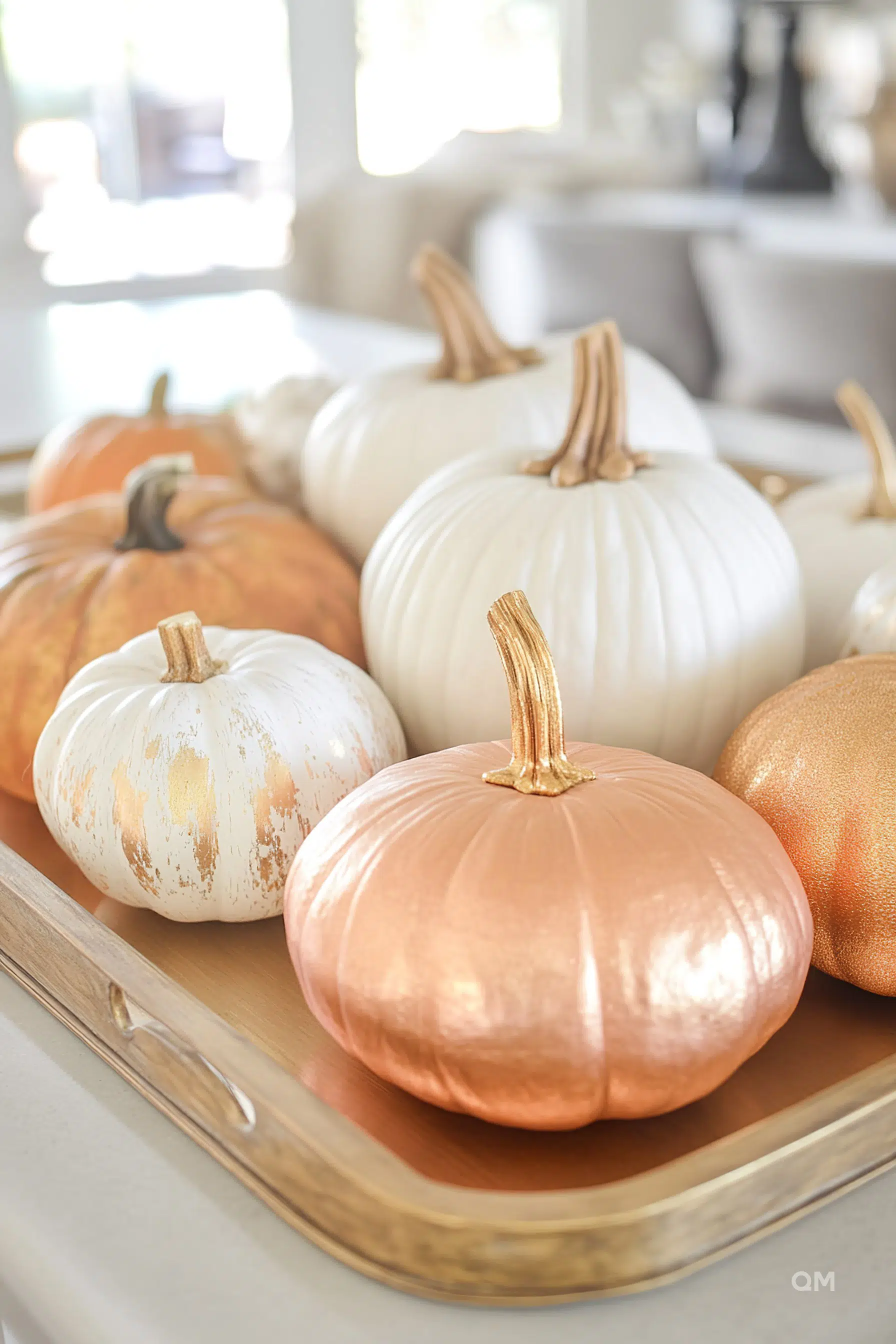 A variety of decorative pumpkins in white, gold, and orange arranged on a tray, with a blurred modern interior background.