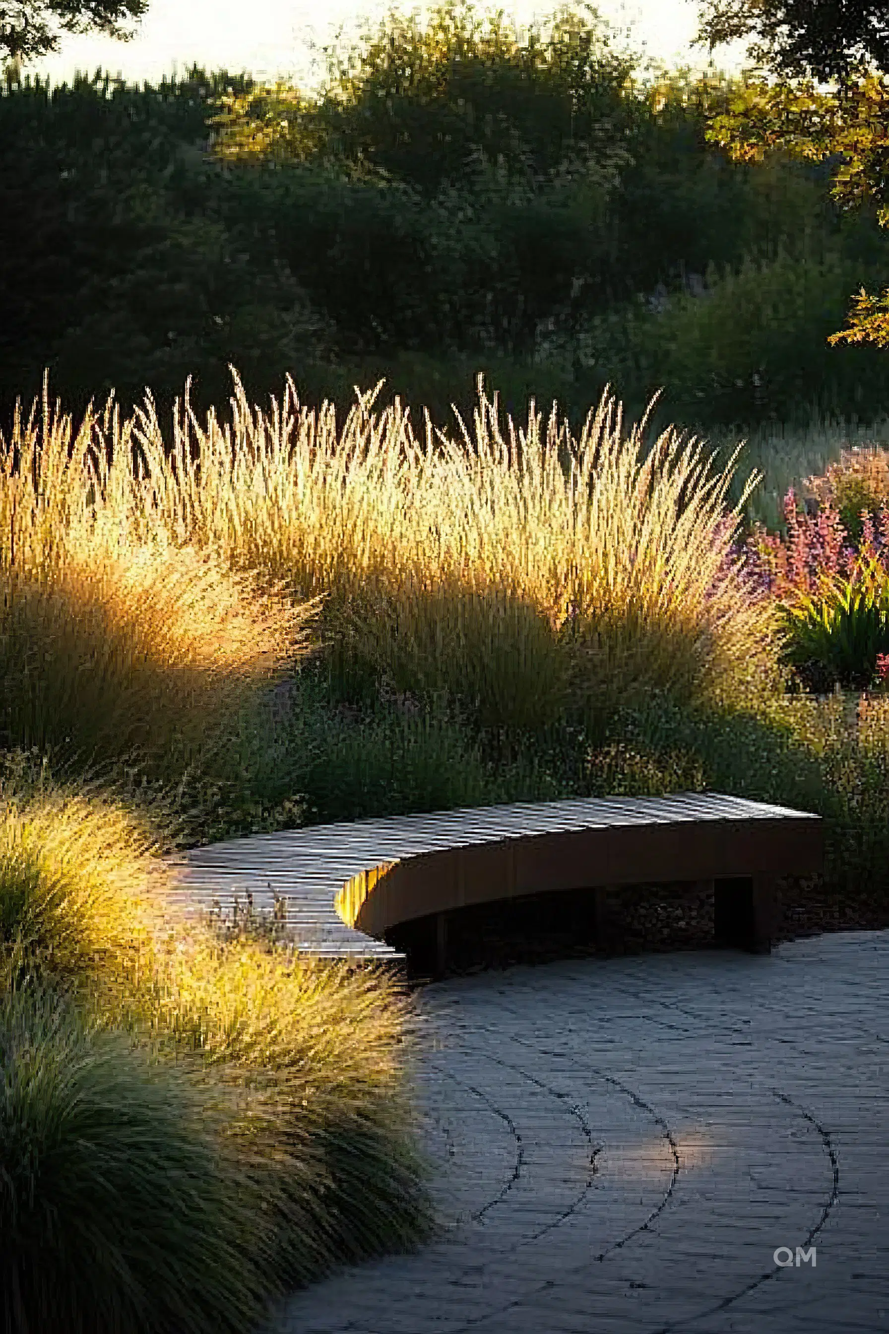 Curved wooden bench surrounded by ornamental grasses, illuminated by soft sunlight in a tranquil garden setting.