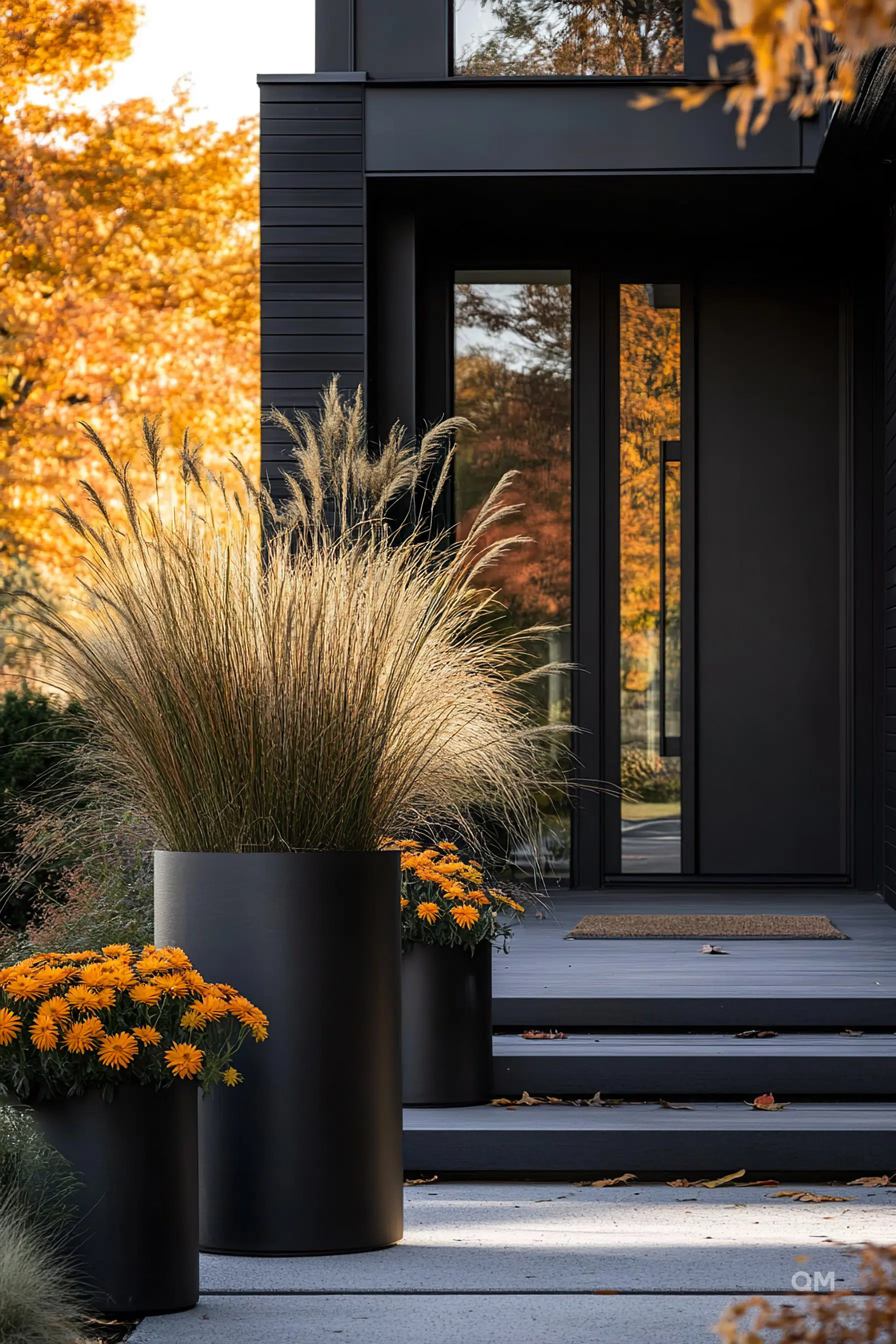 A modern house entrance with large planters of ornamental grass and yellow flowers, steps leading to a black door framed by autumn trees.