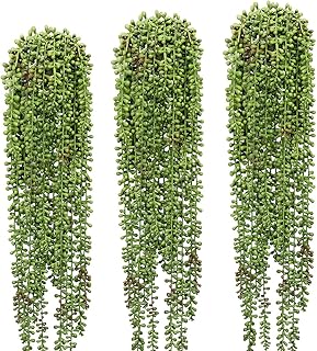 3 Pcs String of Pearls...