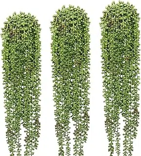3 Pcs String of Pearls...