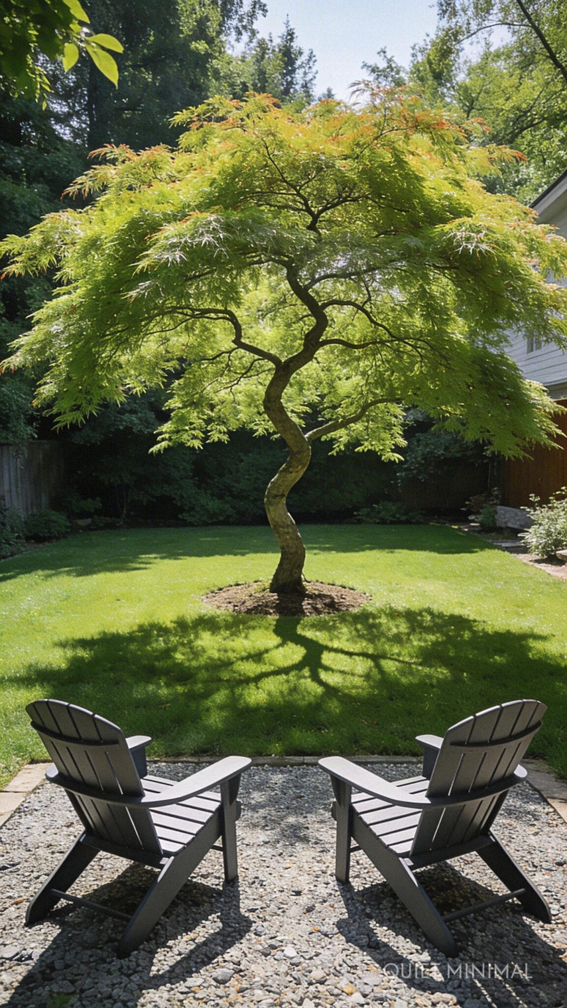 Backyard Landscaping Designs for Privacy and Shade - Quiet Minimal