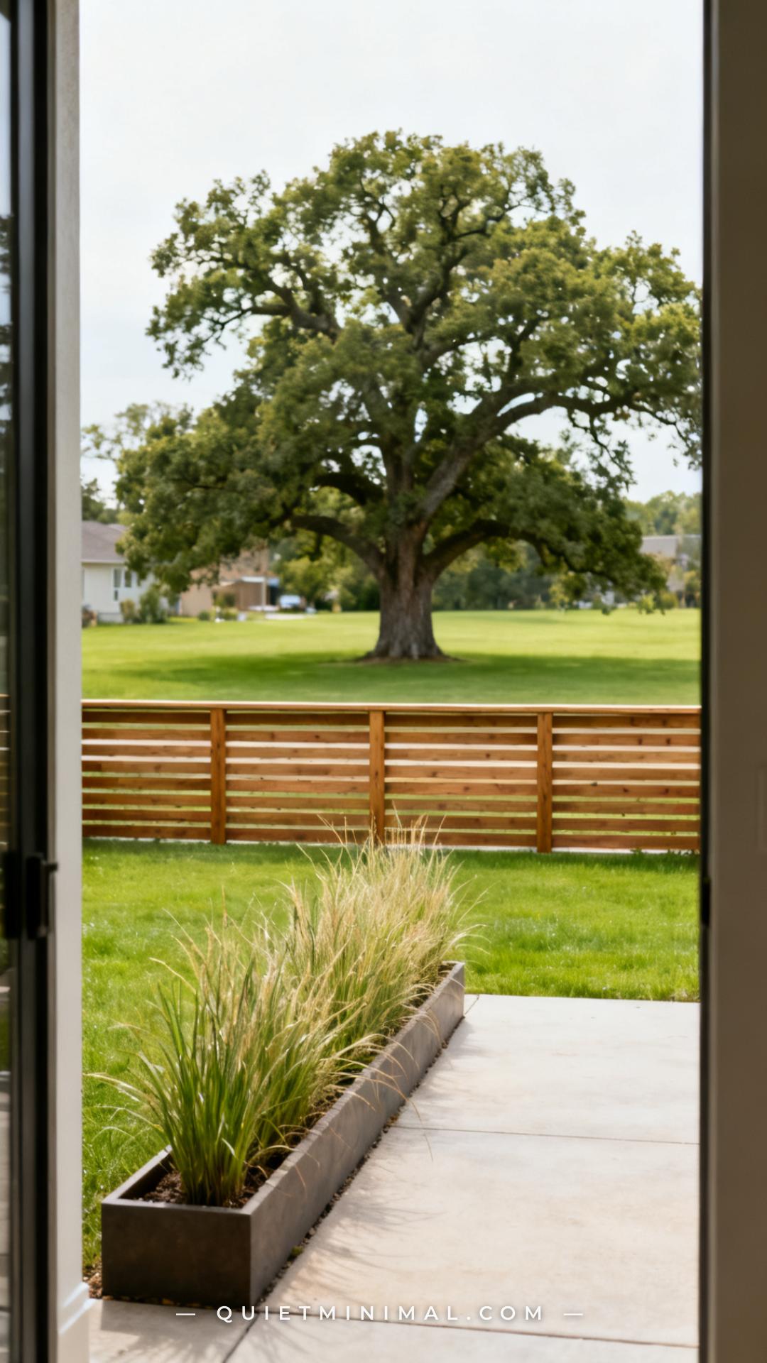 A wide vertical photograph taken from inside a small urban backyard looking outward toward the back fence