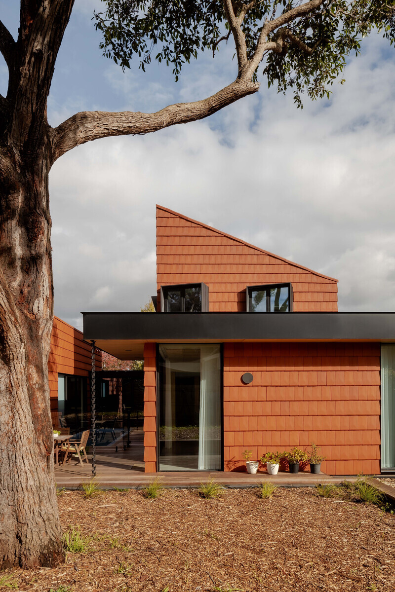 rear garden view of terracotta-shingled house from behind mahogany tree trunk, single-storey pod with timber deck and ou