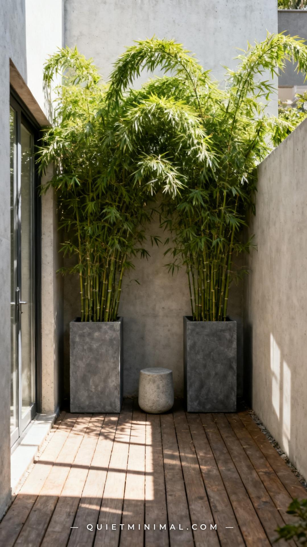 A wide-angle view of a modern patio corner shows two tall slate-gray square planters holding dense clumping bamboo (Farg
