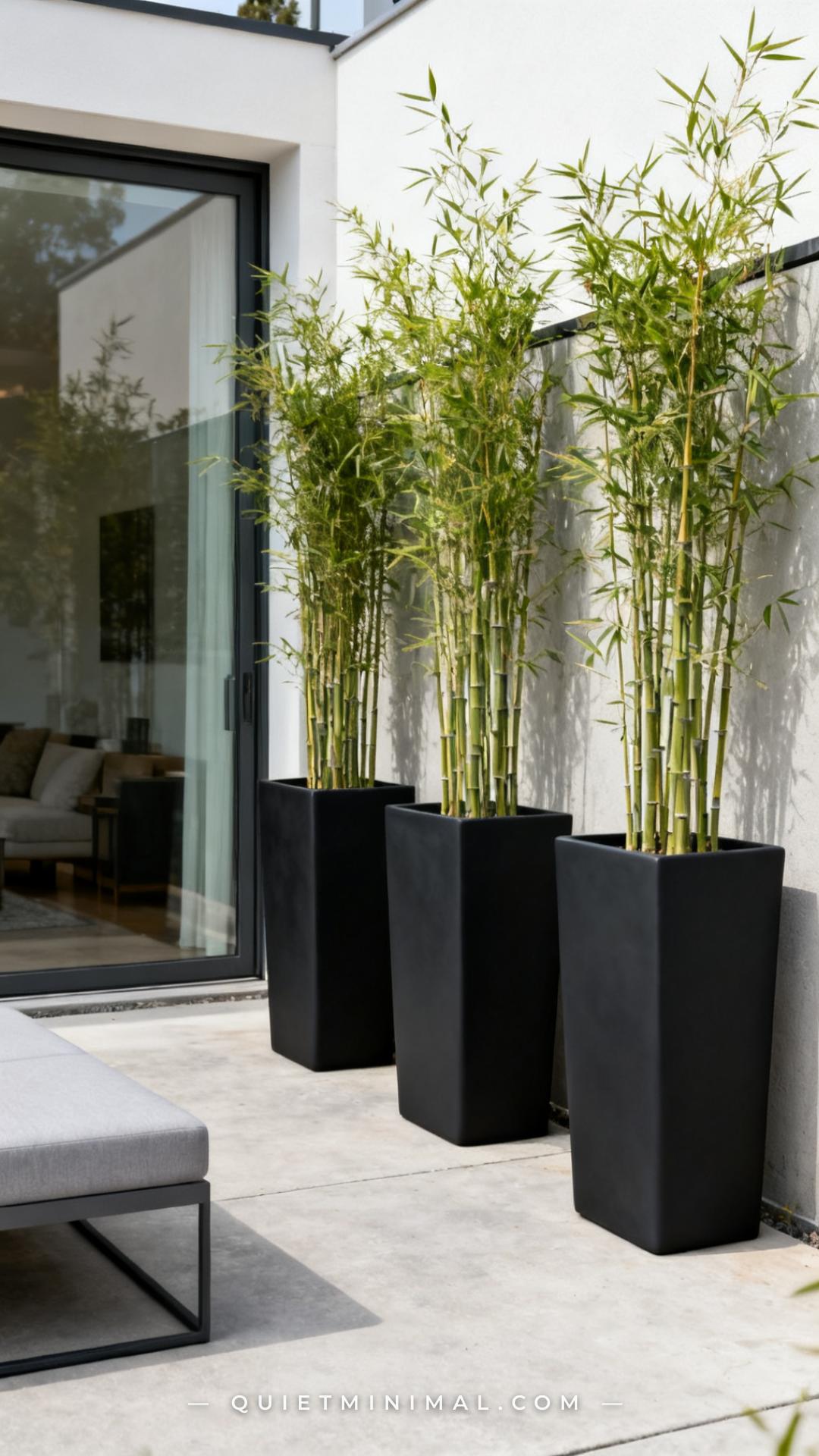 A medium-wide composition shows three identical tall matte black fiberglass rectangular planters arranged in a straight