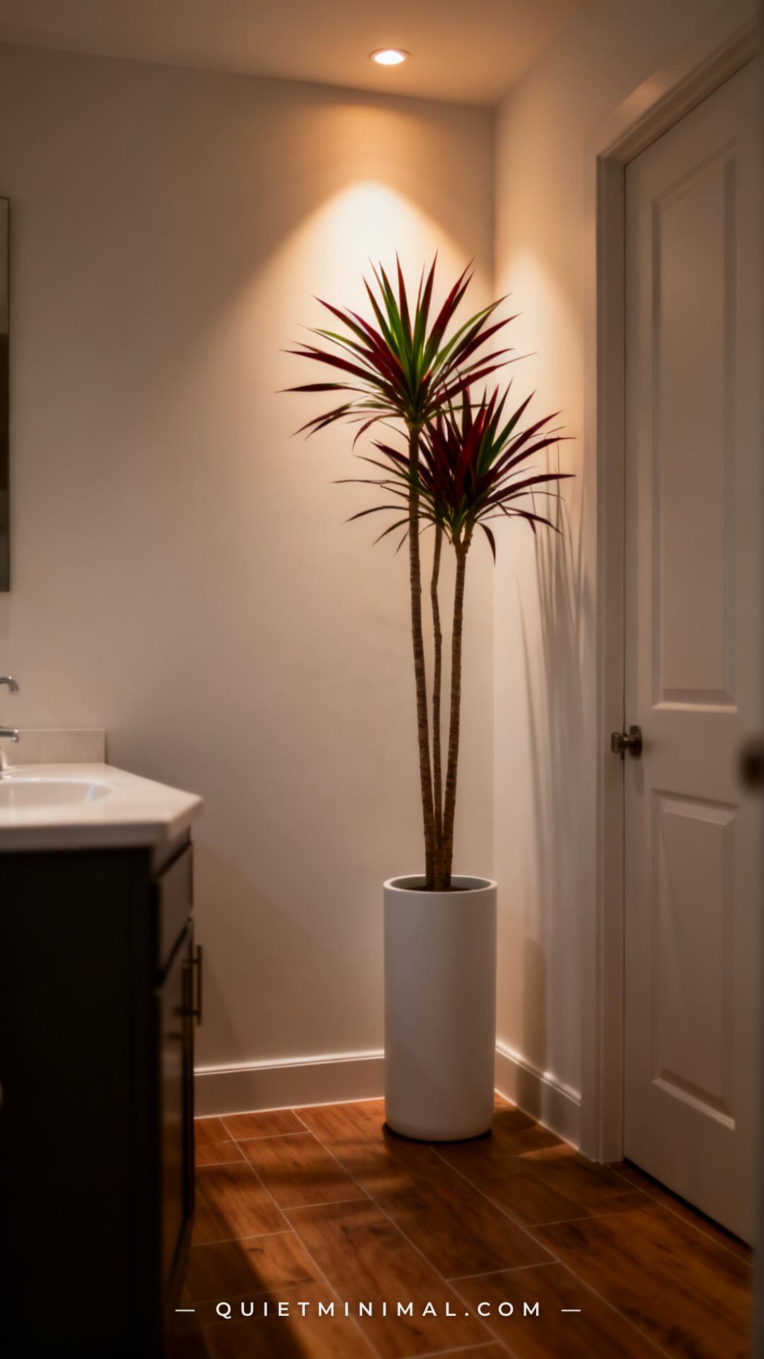 A wide vertical photograph captures a full bathroom corner with a dracaena marginata in a slim