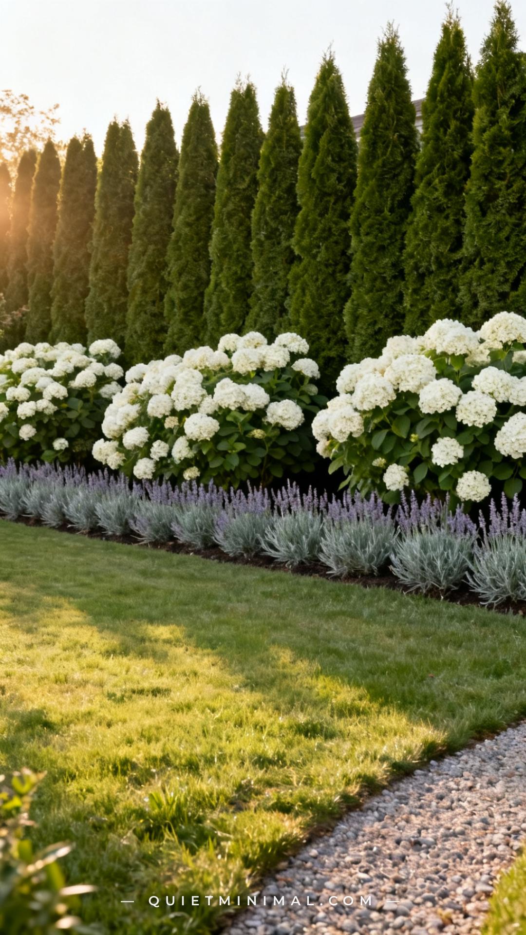 A wide establishing shot of a backyard planting border photographed from across the lawn shows three distinct height tie