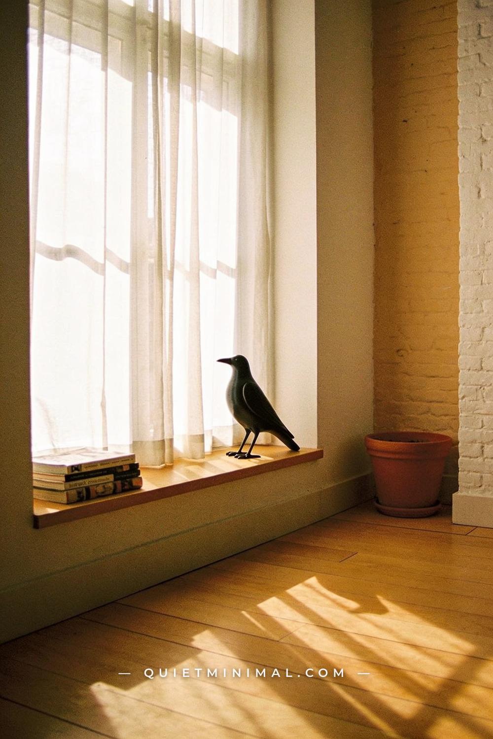 A wide establishing shot taken from across the room showing a windowsill and the living room wall behind it